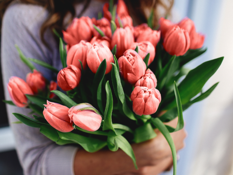 Eine Frau hält einen Strauß pinke Tulpen im Arm.