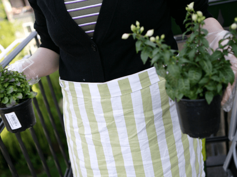 Frau hält Balkonpflanzen in der Hand