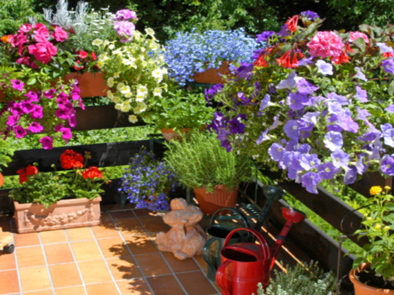 Balkontrend 2023: Den Balkon mit vielen verschiedenen, bunten Blumen gestalten. Das Bild zeigt einen Balkon, auf dem dieses Konzept umgesetzt wurde.