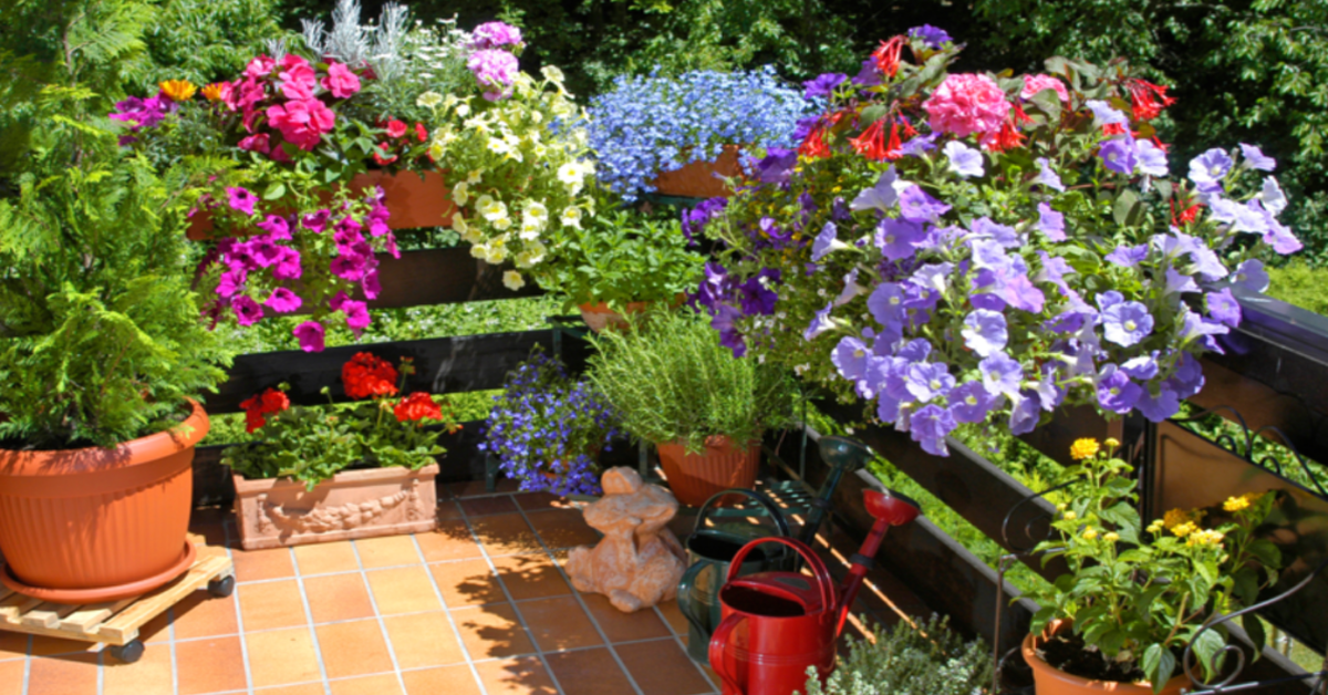 Balkontrend 2023: Den Balkon mit vielen verschiedenen, bunten Blumen gestalten. Das Bild zeigt einen Balkon, auf dem dieses Konzept umgesetzt wurde.