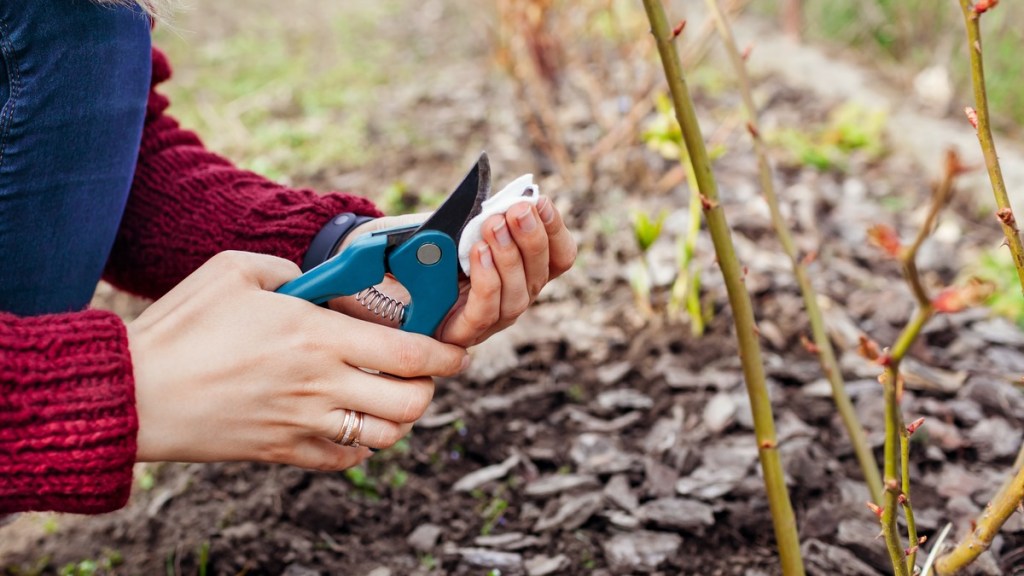 Gartenarbeit im März: Gartengeräte reinigen.