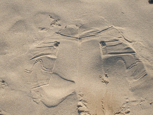 Jean's traces on the sand