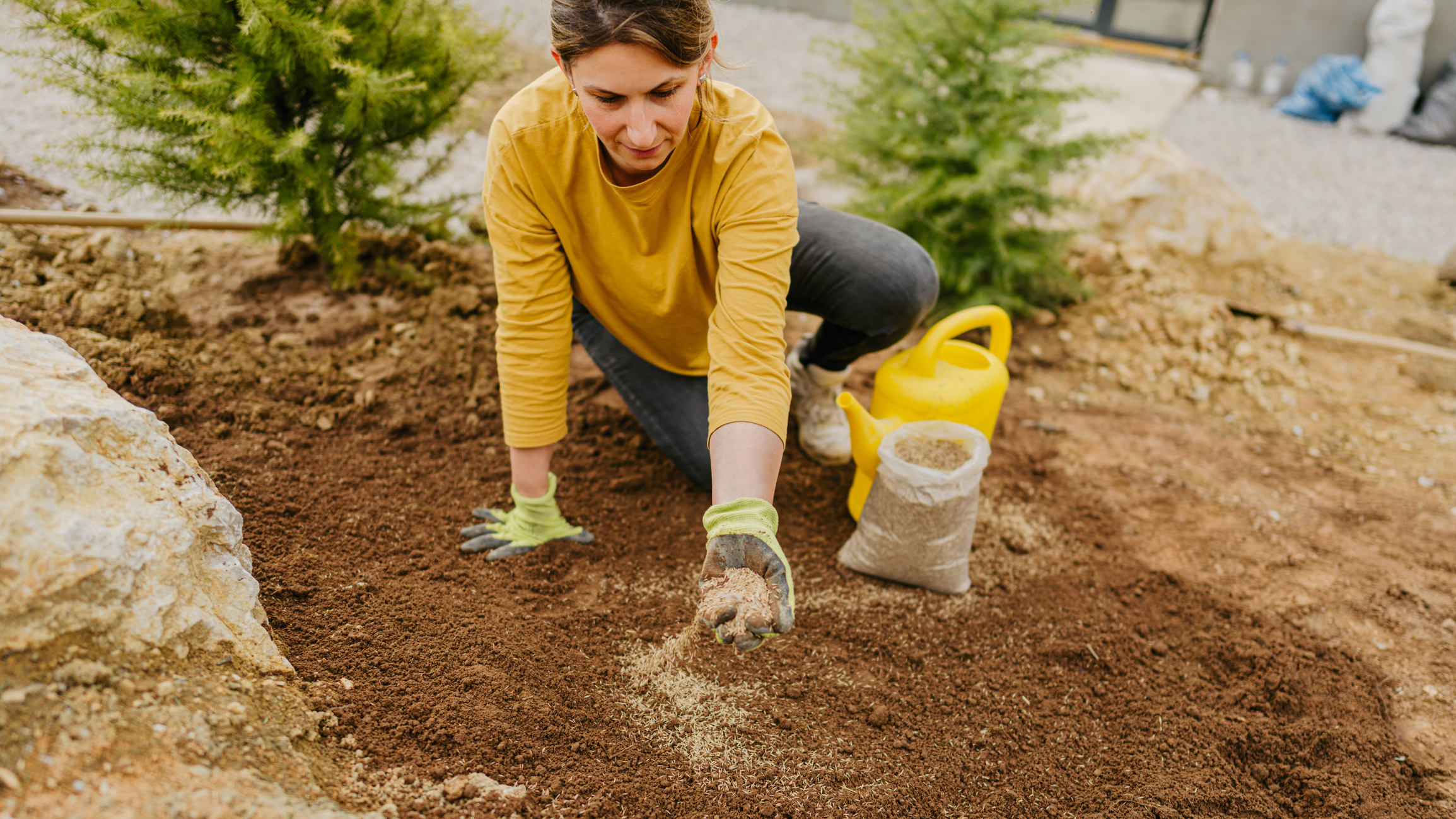 Frau sät Rasen im Garten aus