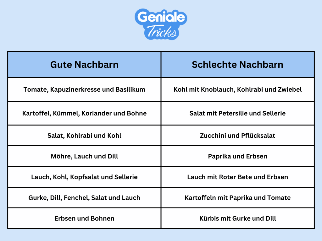 Eine Übersichtstabelle zur Mischkultur.