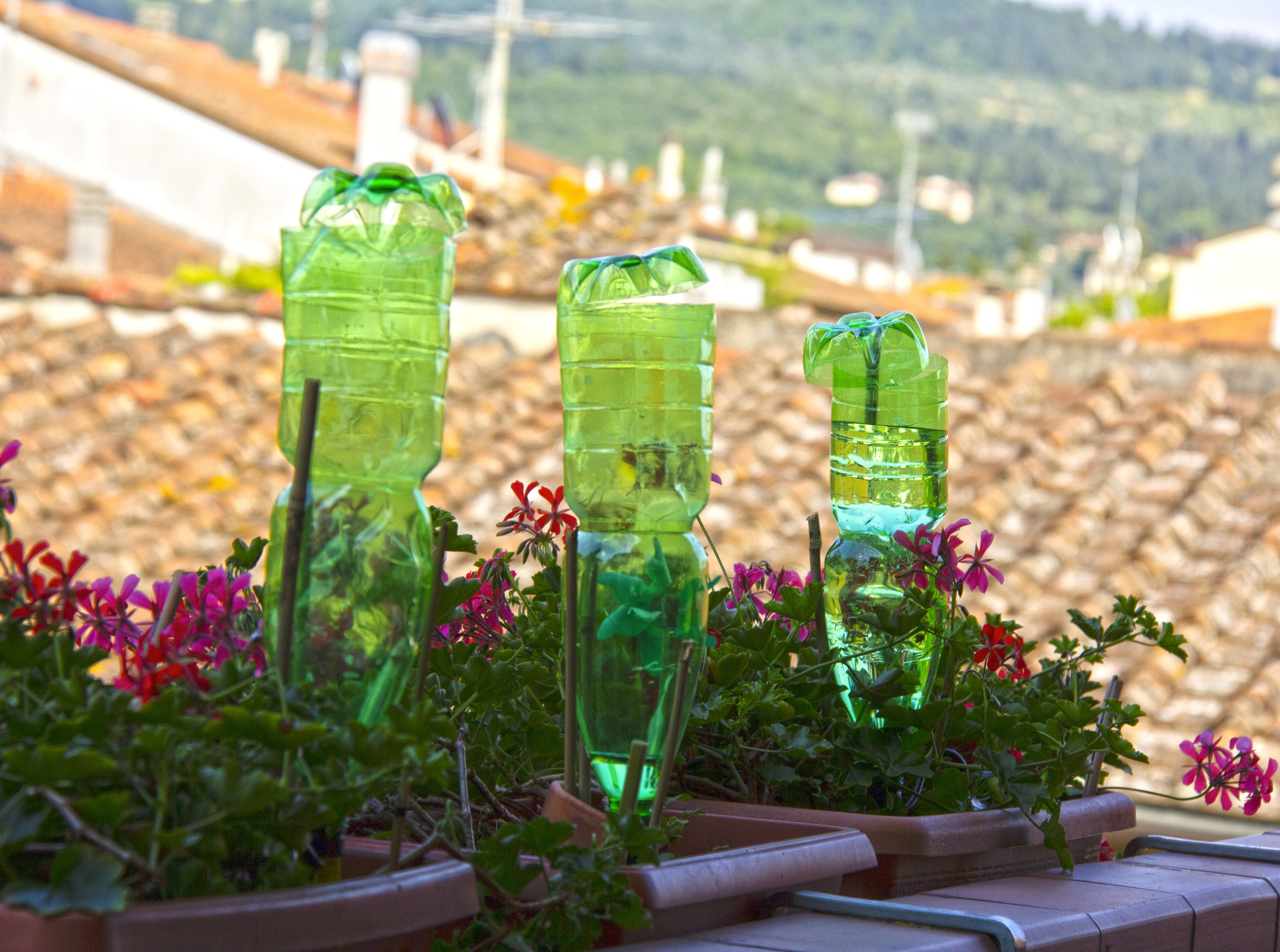 Umgedrehte Plastikflaschen auf Balkon