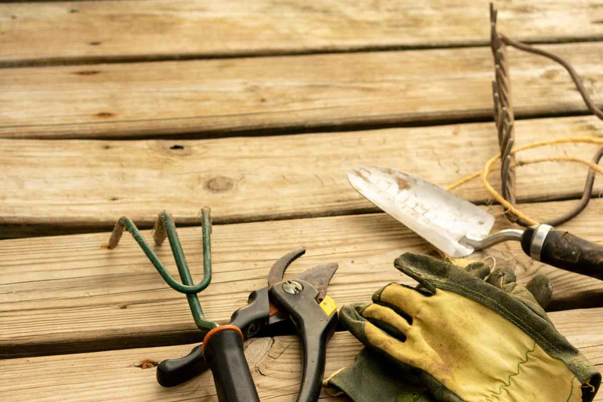 Verschiedene Gartengeräte und Handschuhe.