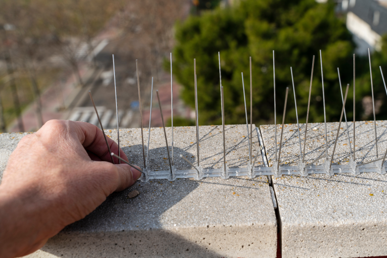 Jemand platziert Spikes auf seinem Balkon, um Tauben zu vertreiben.