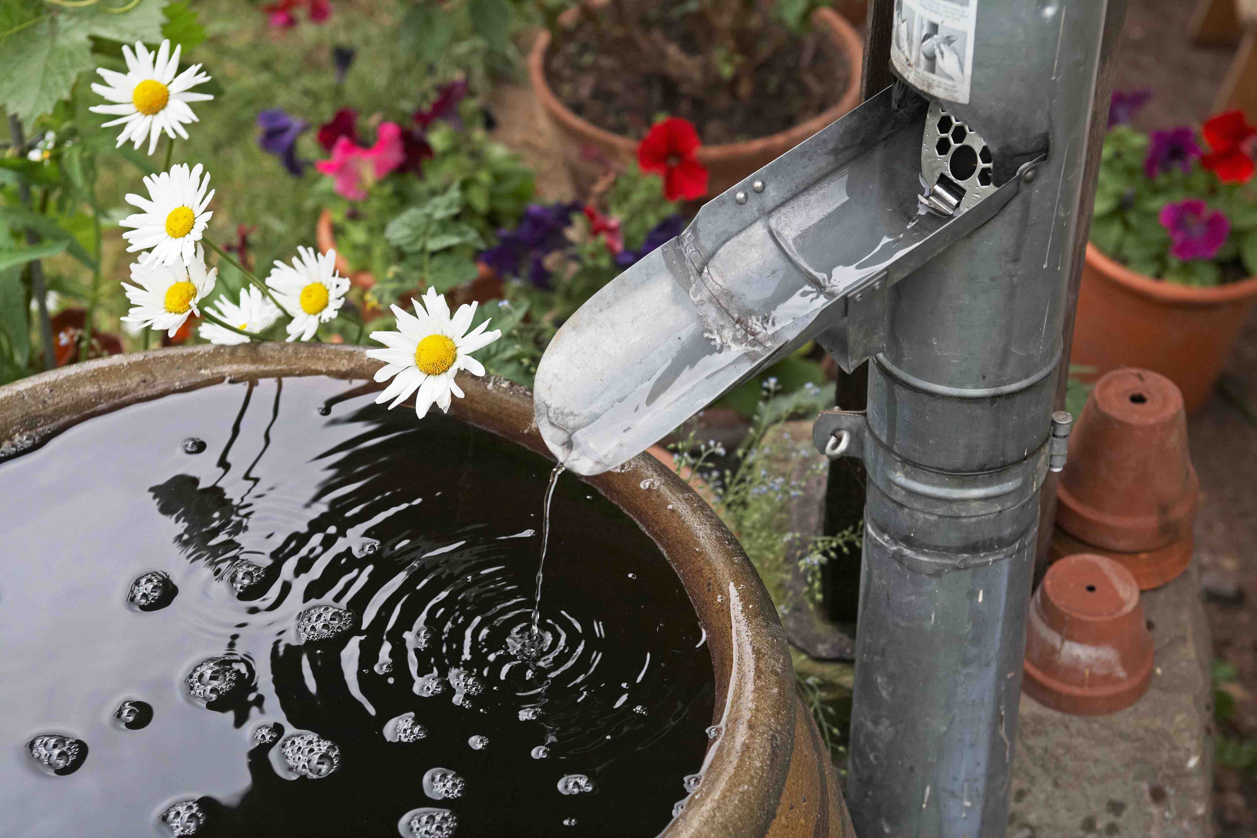 13 Ideen, um Regenwasser aufzusammeln.