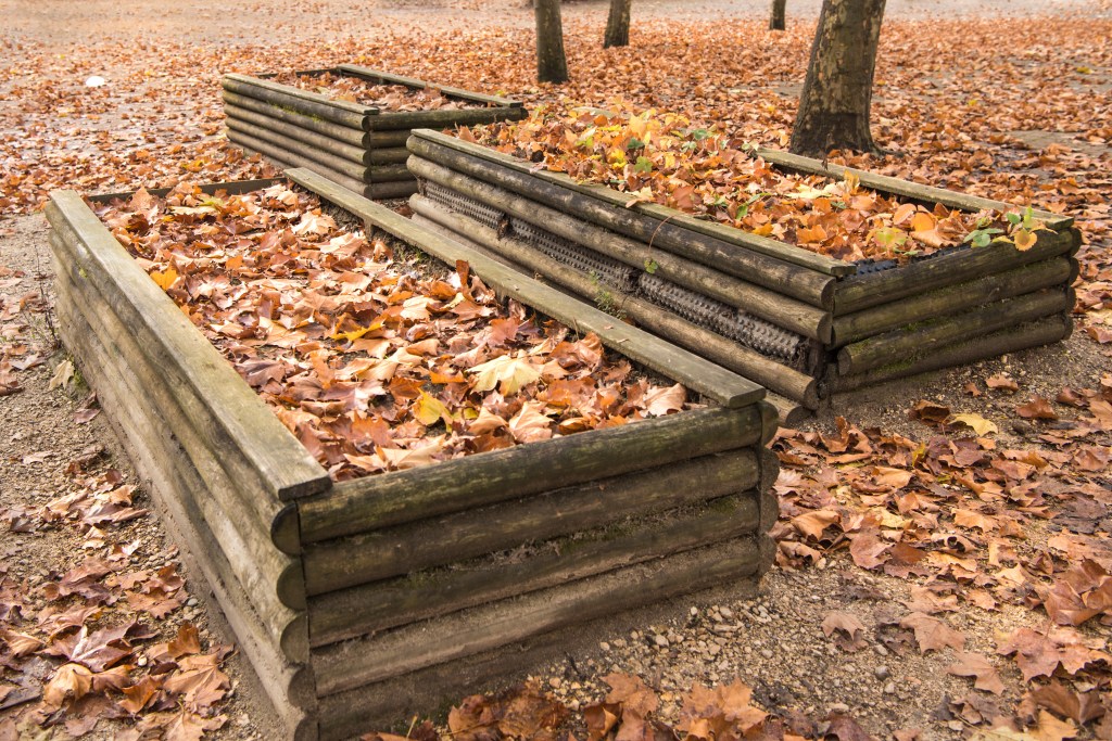 3 Hochbeete im Herbst, die mit Laub bedeckt sind.