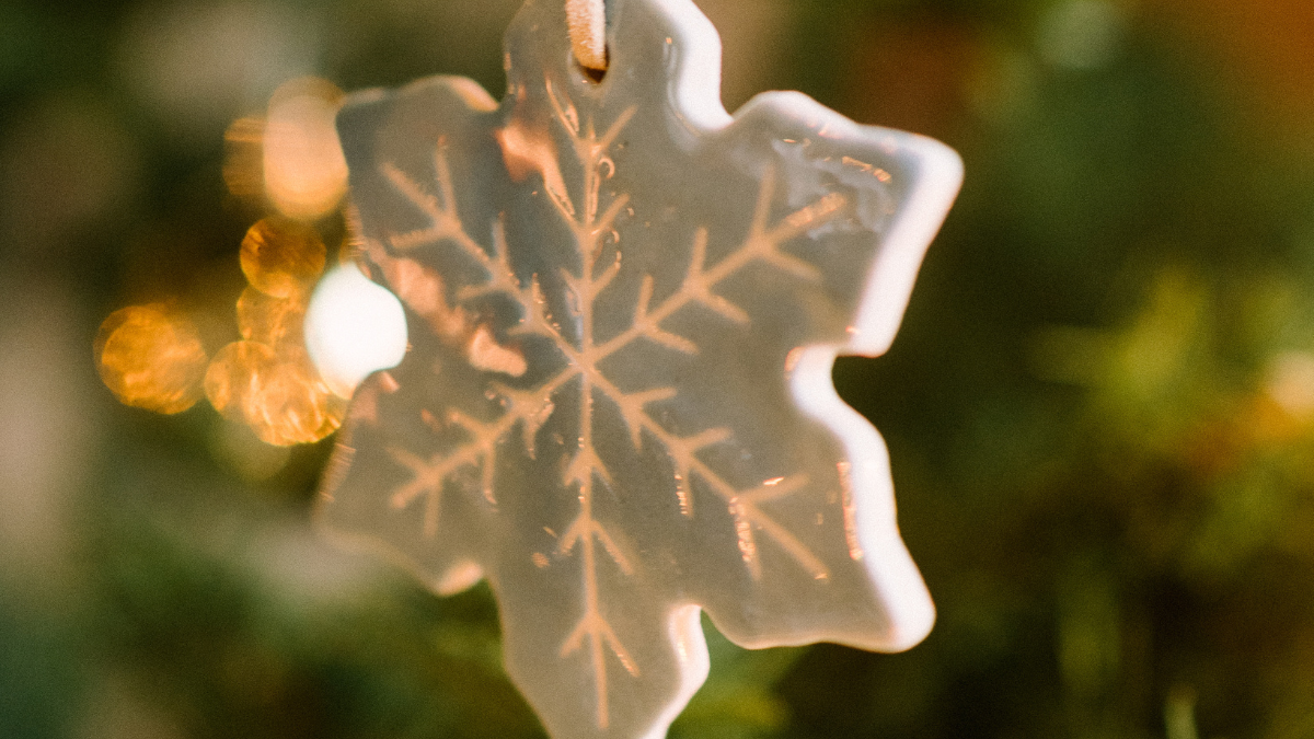 Weißer Weihnachtsstern