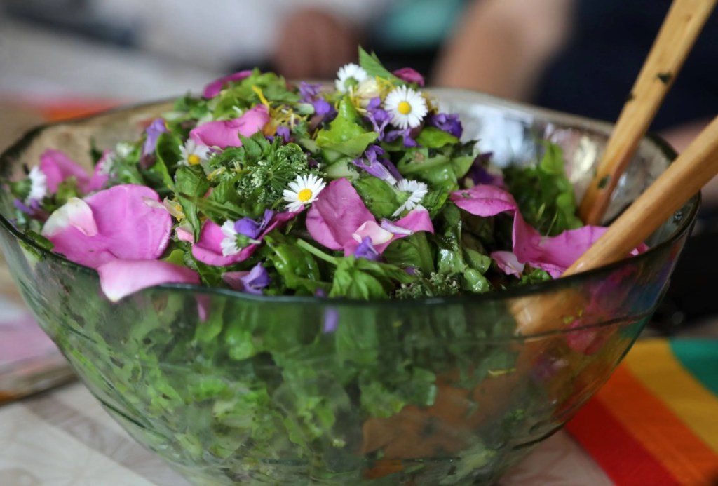 Ein Salat mit Gänseblümchen.