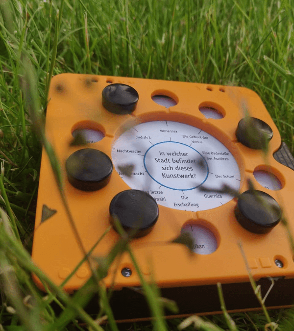 Das Spiel Smart Ten liegt im Gras.