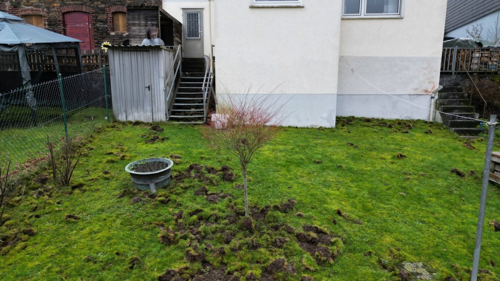 Wildschweine haben einen Garten umgegeraben.