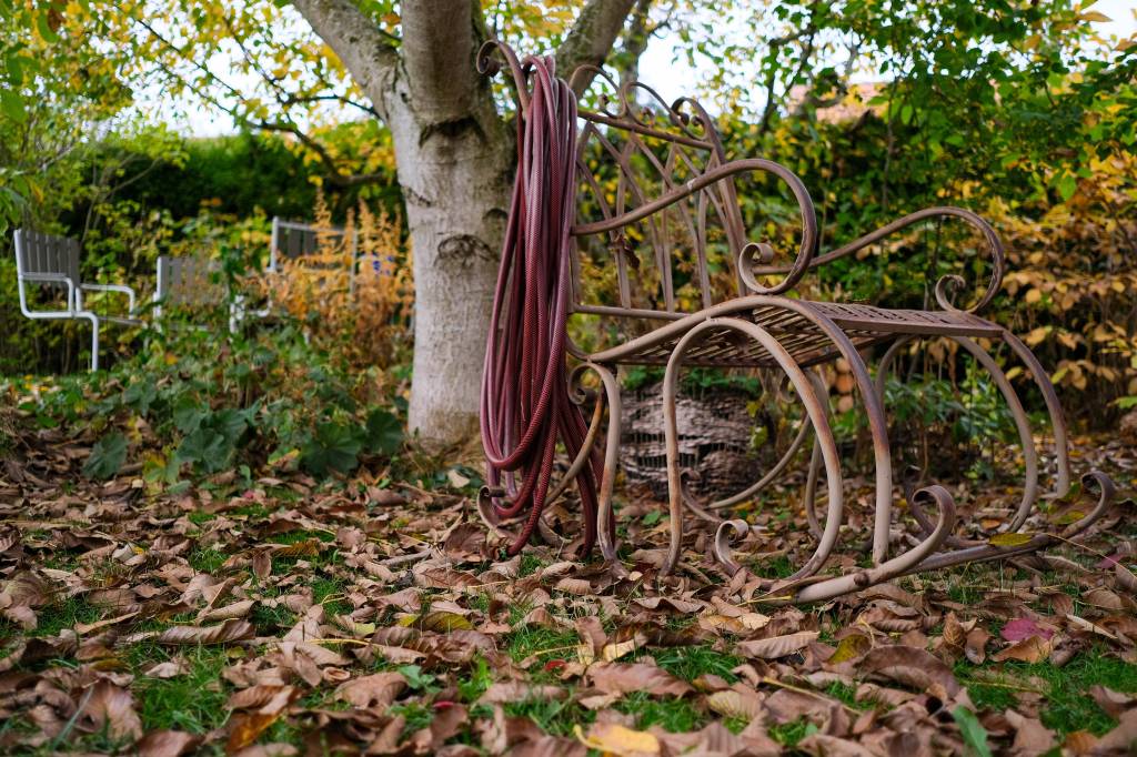 Ein Herbstgarten mit Baum und Schaukelstuhl.