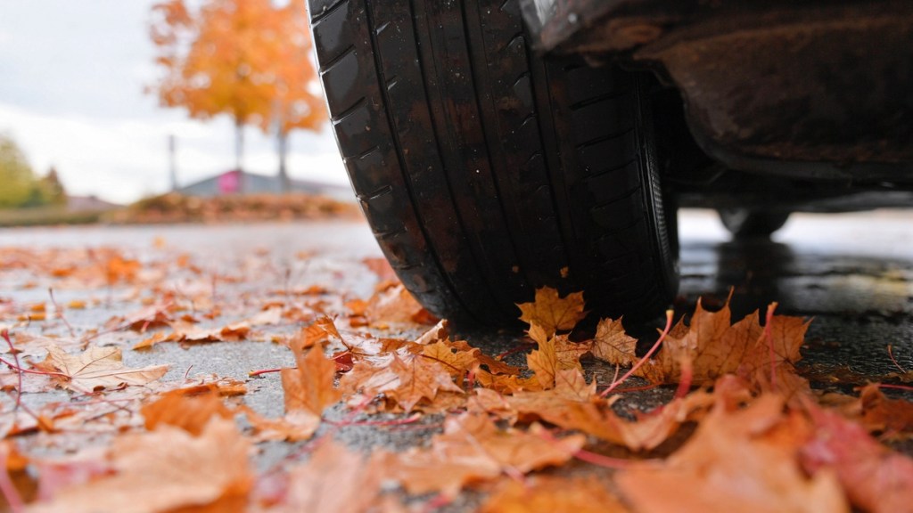 Autofahren im Herbst.