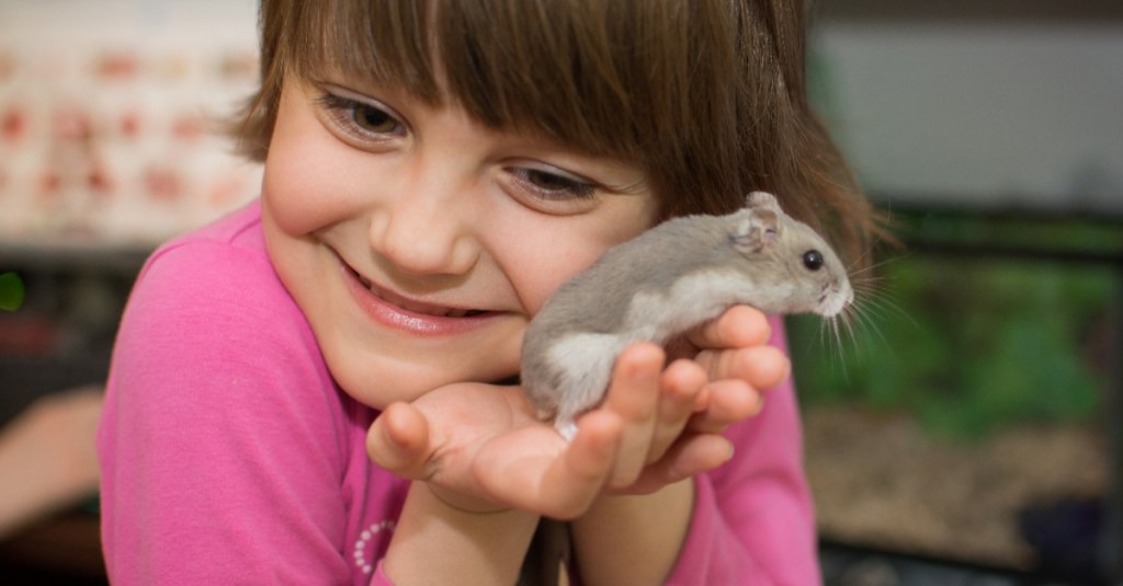 Mädchen kuschelt mit einem Hamster