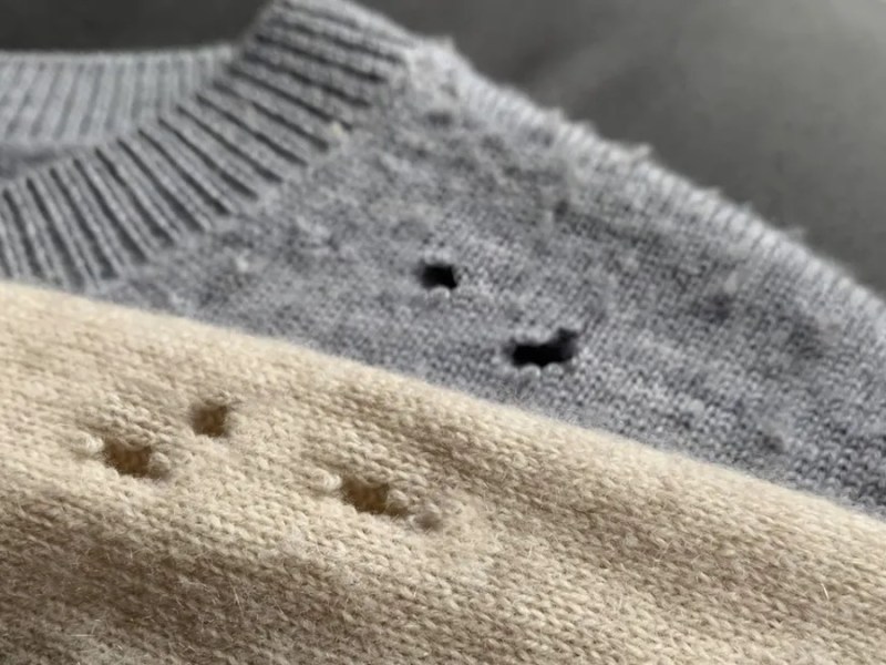 Kleine Löcher in der Kleidung: Dieses Hausmittel soll helfen.