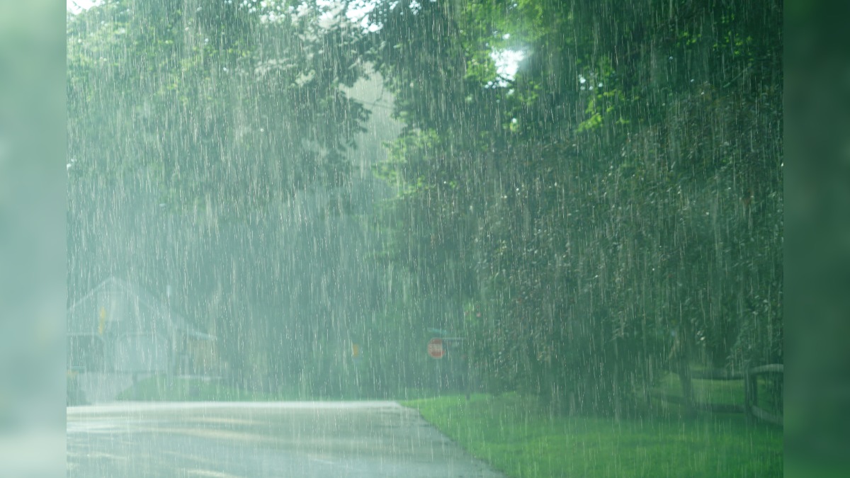 Starker Regen auf einer Straße im Wald.