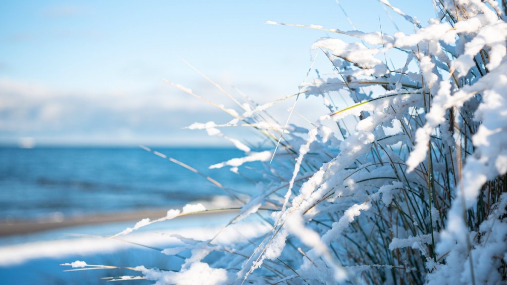 „Ist der Januar hell und weiß, wird der Sommer sicher heiß.“