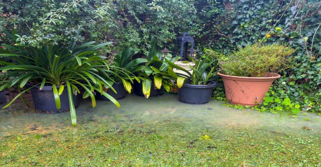 Ein Rasen steht unter Wasser.