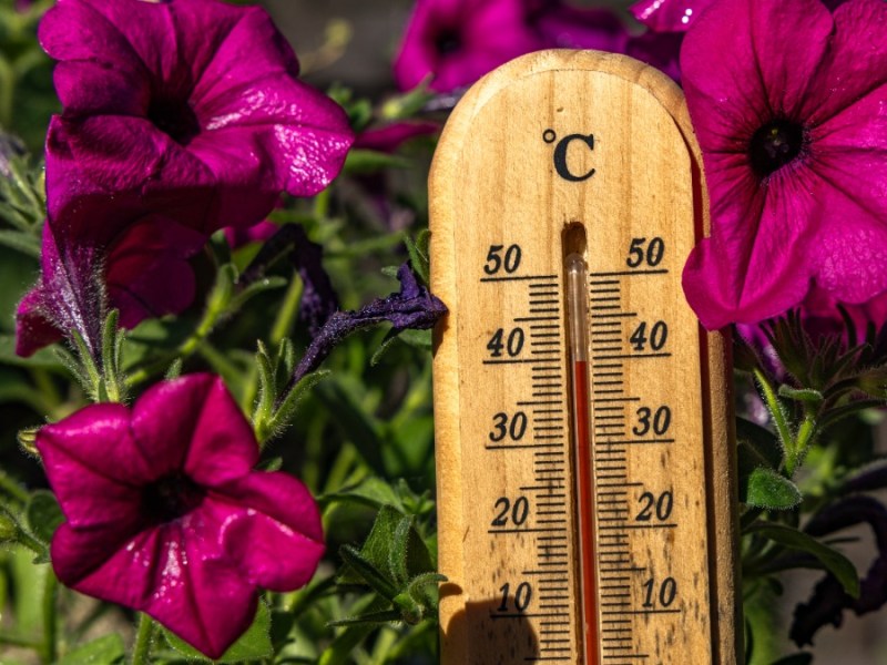 ein Thermometer zeigt knapp 40 Grad